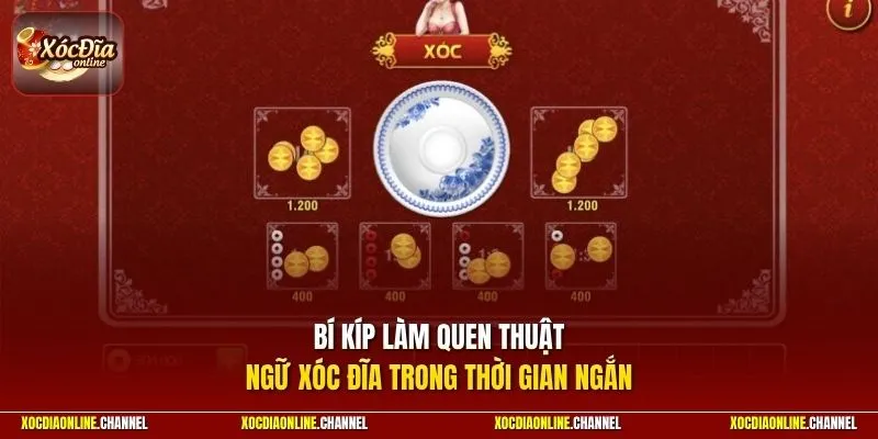Bí kíp làm quen thuật ngữ xóc đĩa trong thời gian ngắn